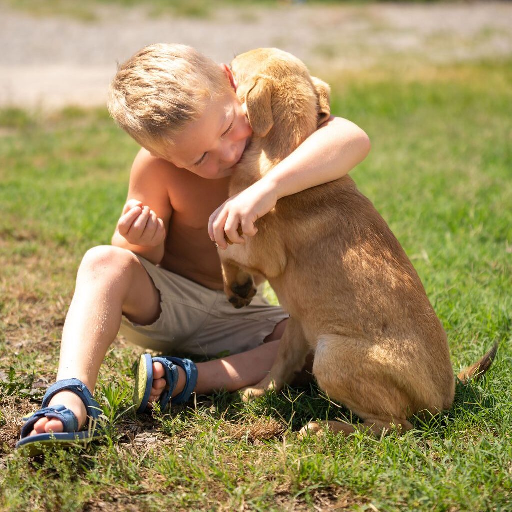 Young boy hugging his golden retriever puppy outdoors.